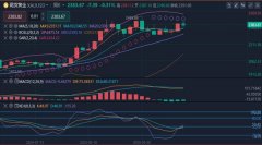 化石燃料(石油、天然气和煤炭)占据了总能源消费