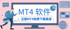 金荣中国作为与MetaQuotes公司紧密合作的投资平台